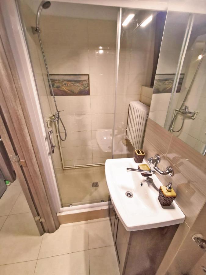 Cozy Apartment Sala Palatului 布加勒斯特 外观 照片